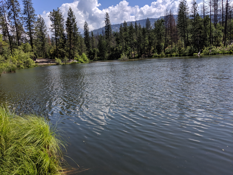 Illustration for article titled Manzanita Lake